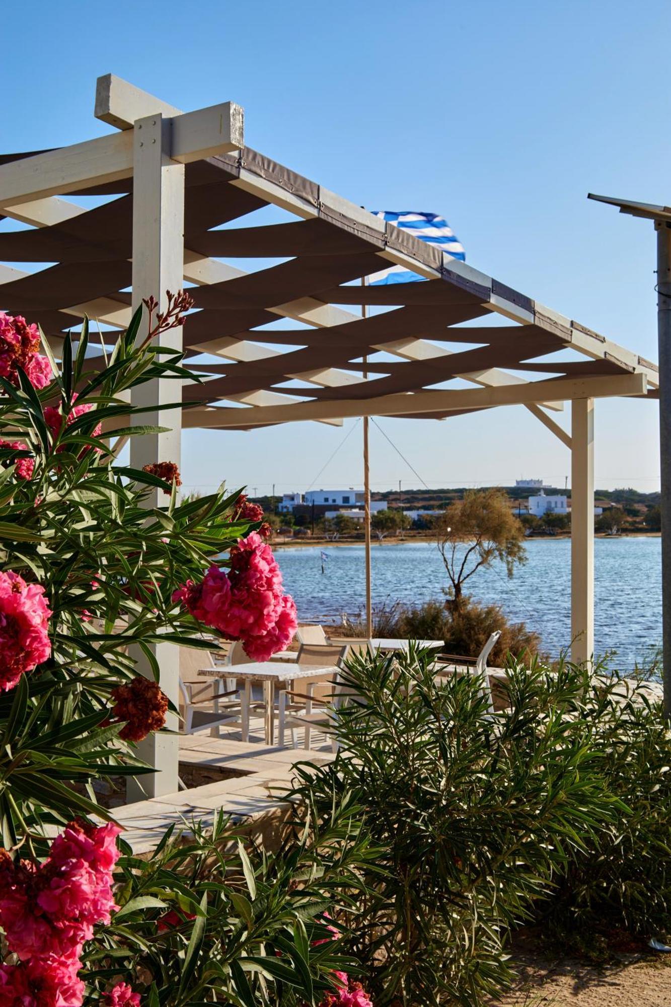 Theologos Beach Antiparos Town Exteriör bild