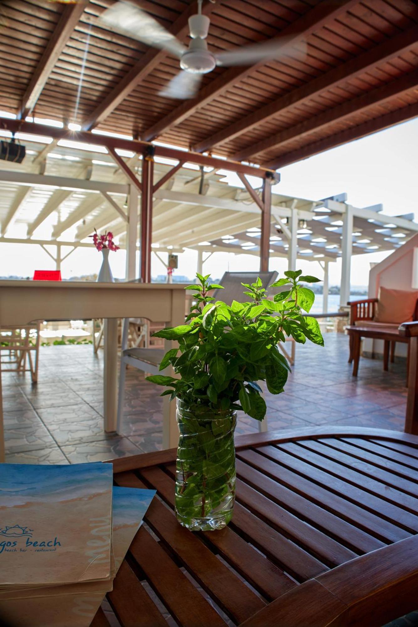 Theologos Beach Antiparos Town Exteriör bild